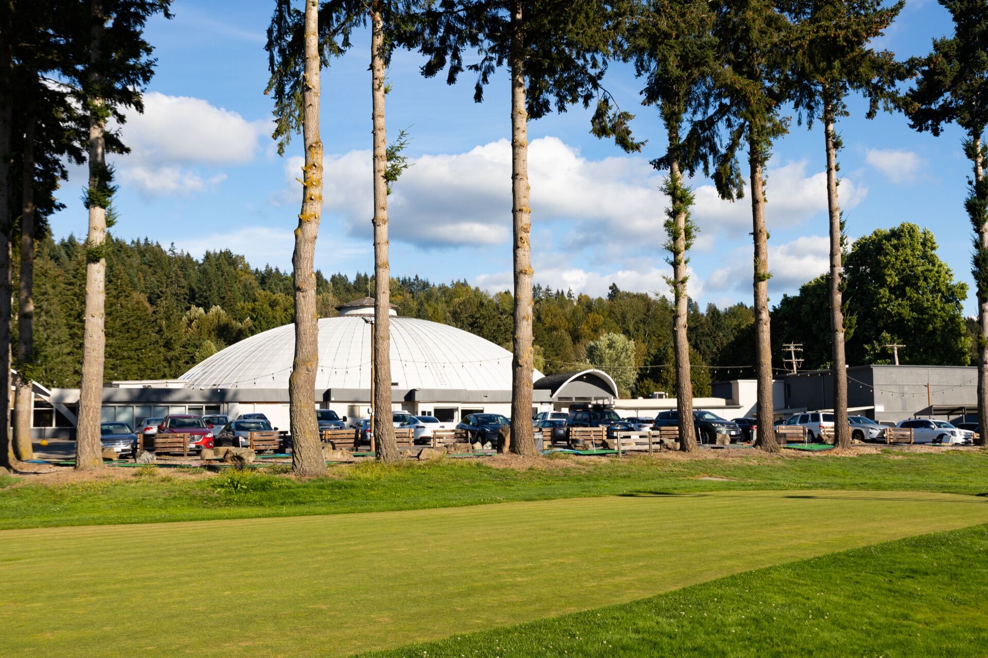 Summer golf training image 3