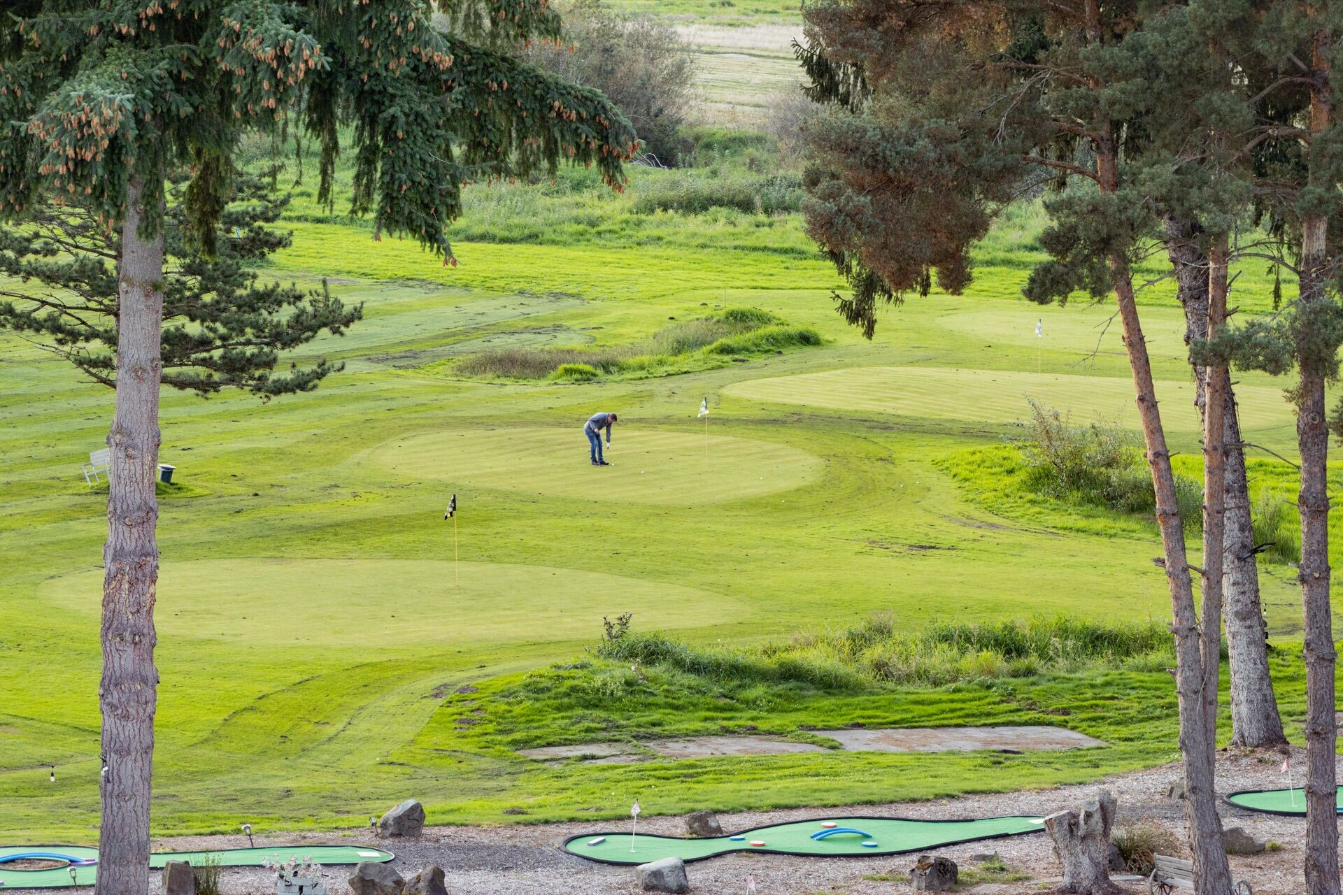Tier 1 golf instruction and technical work